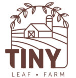 logo 01